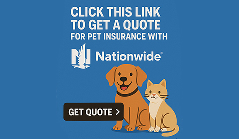Click this link to get a quote for pet insurance with Nationwide